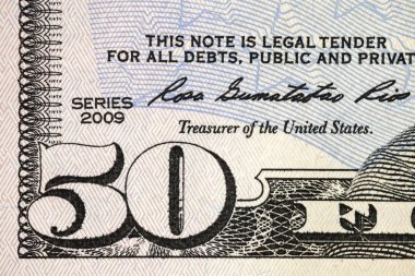 Dolar bill parçası makro