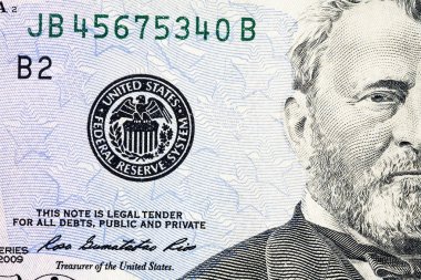 Dolar bill parçası makro