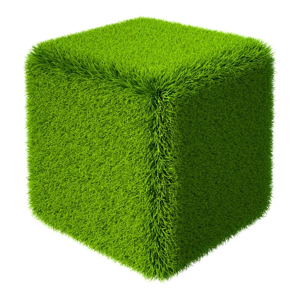 Grass Cube 3d — Stock fotografie