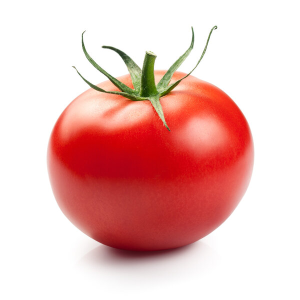 Fresh Red Tomato