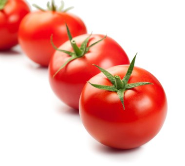 Taze kırmızı domatesler