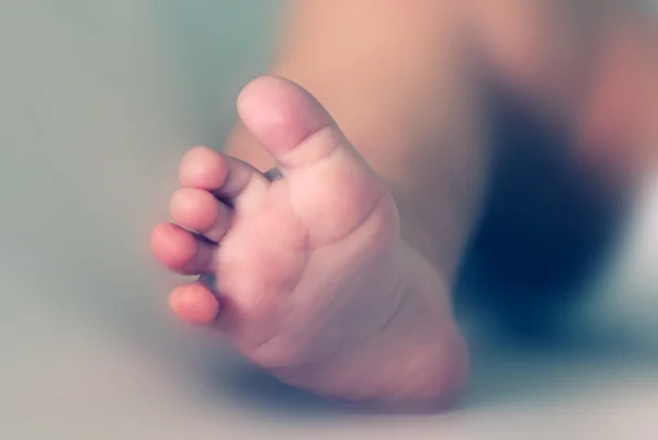 Baby feet — Stock Photo, Image