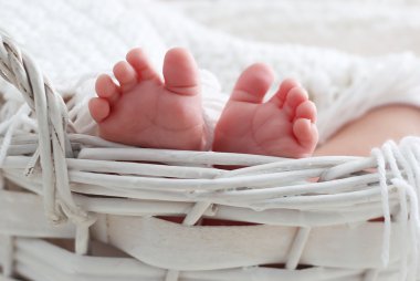 Bebek Ayakları