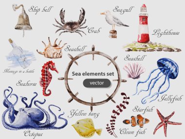 Deniz set