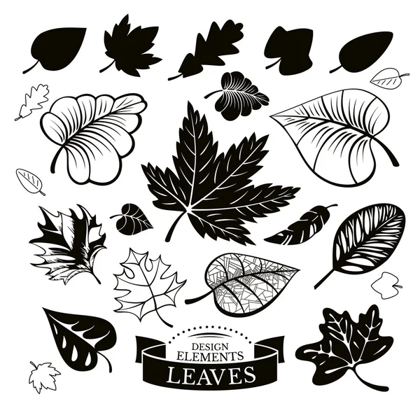 Ensemble de feuilles différentes — Image vectorielle