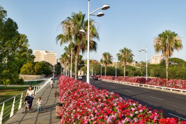Puente de las Flores (çiçek Köprüsü) Valencia, İspanya
