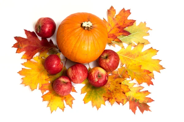 Bodegón de otoño: calabazas, manzanas y hojas de roble sobre blanco —  Fotos de Stock