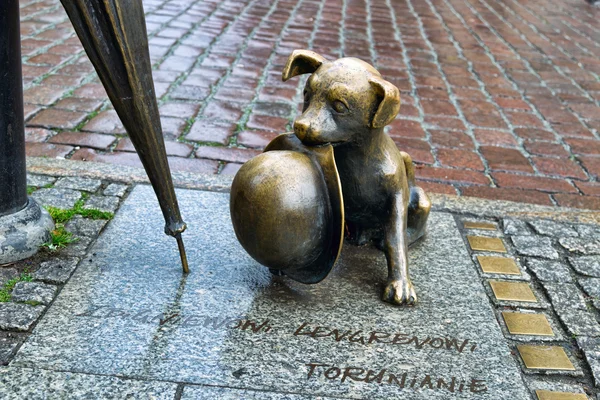 Estatua de perro pequeño Filus en Torun, Polonia —  Fotos de Stock