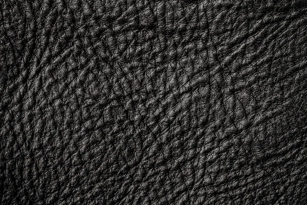 Closeup of  leather texture Stock Picture