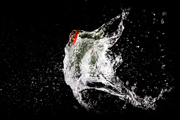 Water balloon explosion Stock Image