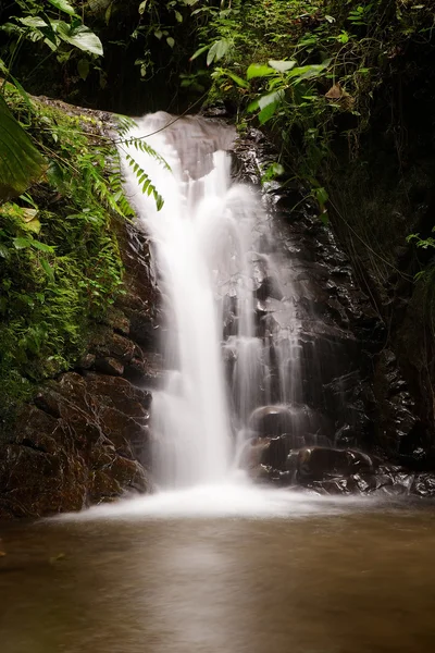 Waterfall in Mindo — Stock Photo, Image