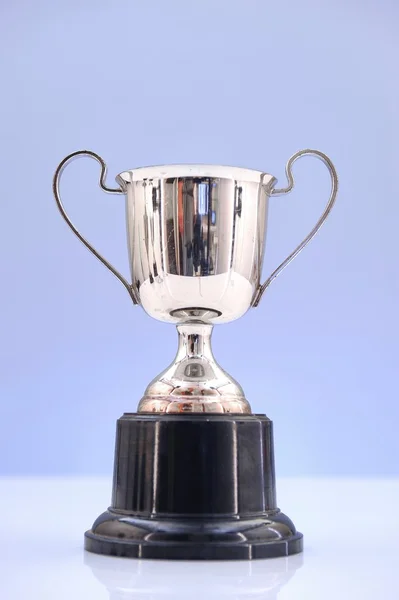 A Vintage Trophy — Stock Photo, Image