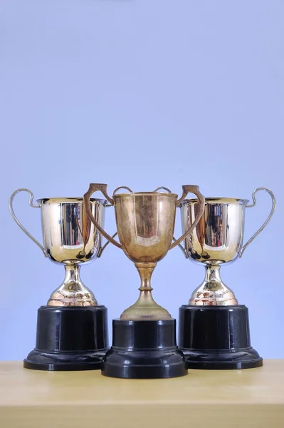 Eine Vintage Trophäe — Stockfoto