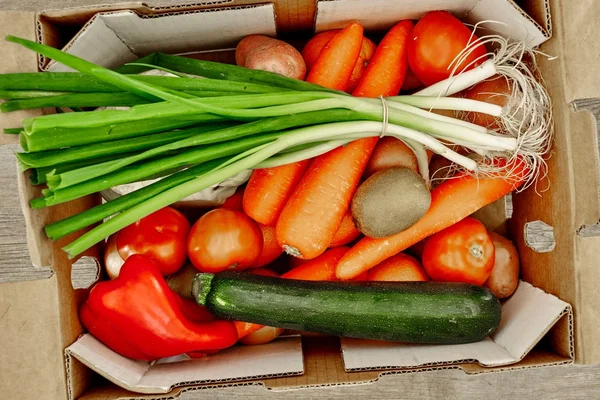 水果和蔬菜盒 — 图库照片