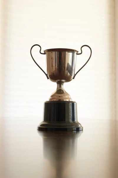 Studio Photo Trophy Cup — Stock Photo, Image