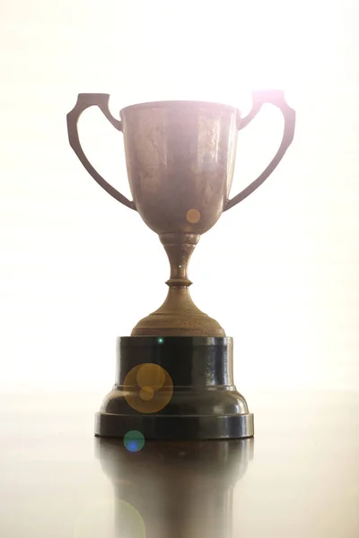 Studio Photo Trophy Cup — Stock Photo, Image