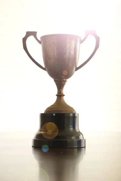 A studio photo of a trophy cup