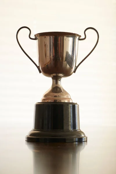 Uma Foto Estúdio Uma Taça Troféu — Fotografia de Stock