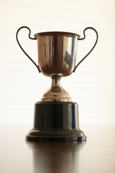 A studio photo of a trophy cup