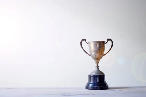 Ein Atelierfoto Einer Trophäe — Stockfoto