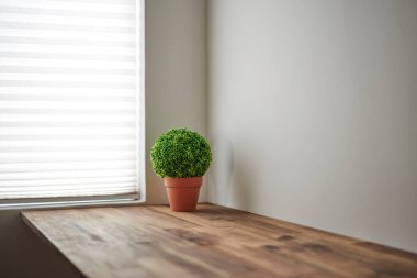 Evde bir ofis kurulumunun fotoğrafı.