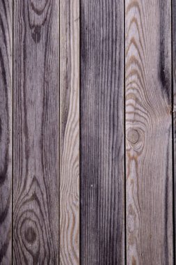 Bir fotoğraf arkaplanının fotoğrafı.