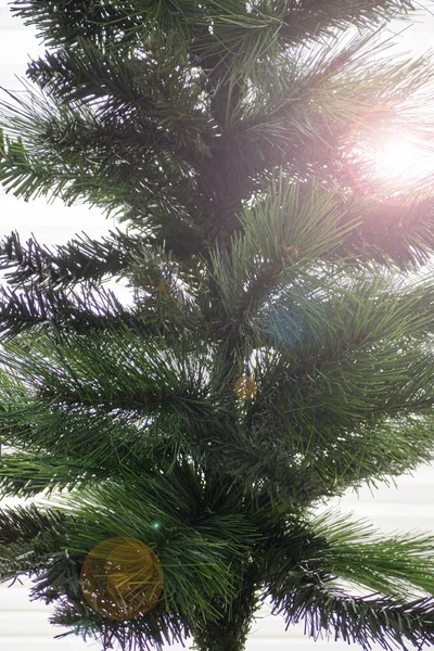 Uma Foto Estúdio Uma Árvore Natal — Fotografia de Stock