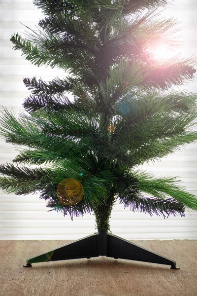 Una Foto Estudio Árbol Navidad — Foto de Stock