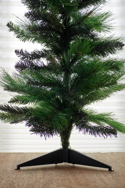 Uma Foto Estúdio Uma Árvore Natal — Fotografia de Stock