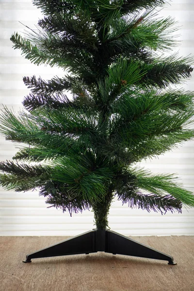 Studio Photo Christmas Tree — Stock Photo, Image