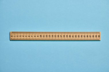 Bir hükümdarın stüdyo fotoğrafı.