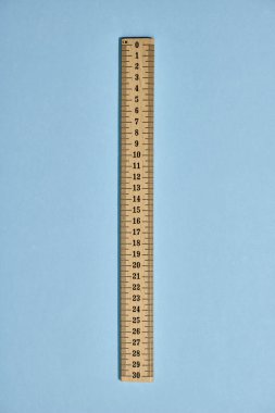 Bir hükümdarın stüdyo fotoğrafı.