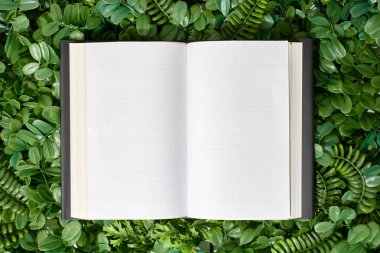 Okuma kitabının stüdyo fotoğrafı.