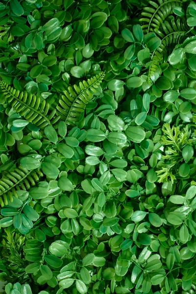 Een Studio Foto Van Een Hangende Tuin — Stockfoto