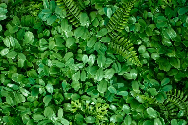 Een Studio Foto Van Een Hangende Tuin — Stockfoto