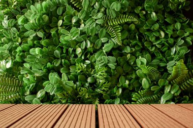 Asılı bir bahçenin stüdyo fotoğrafı.