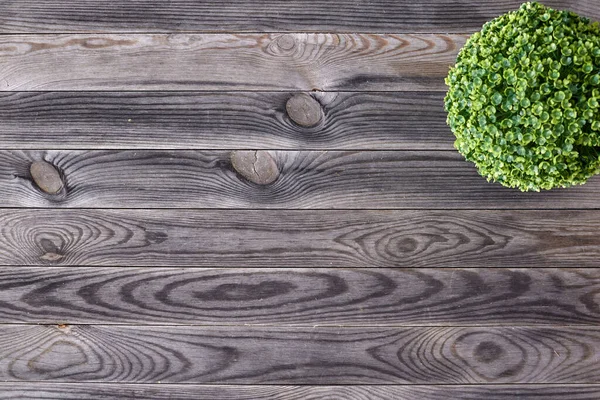 Studio Photo Outdoor Timber Decking — Stock Photo, Image