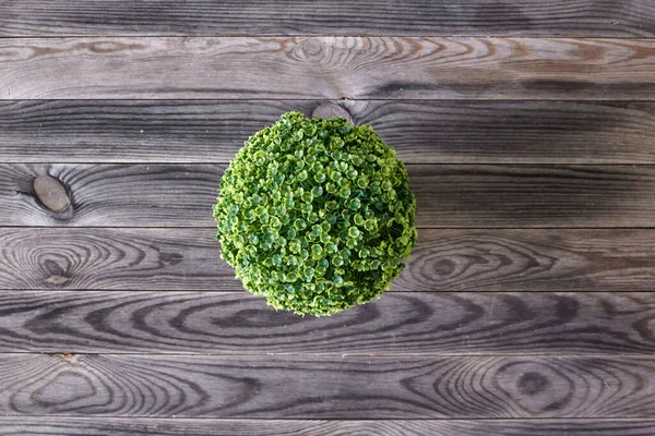 Una Foto Studio Coperta Esterna Legno — Foto Stock