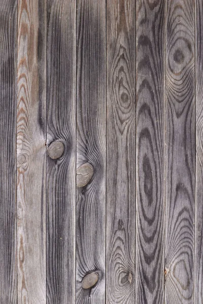 Studio Photo Outdoor Timber Decking — Stock Photo, Image