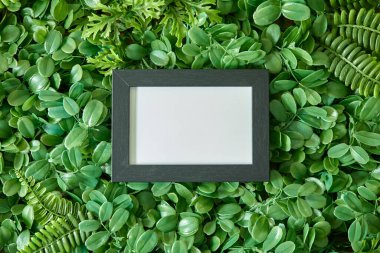 Siyah bir fotoğraf çerçevesinin stüdyo fotoğrafı.