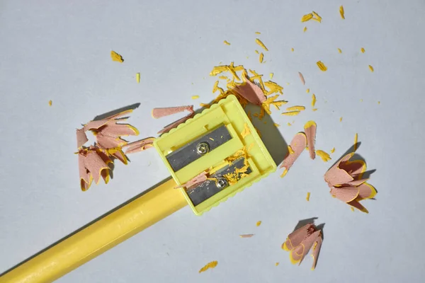 Studio Photo Pencil Sharpener — Stock Photo, Image