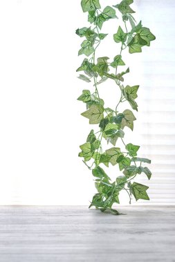 Yapay bir sarmaşık sarmaşığının stüdyo fotoğrafı.