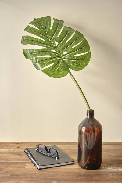 Tropiska Blad Monstera Trä Bakgrund — Stockfoto