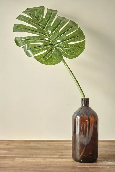 Hojas Tropicales Monstera Sobre Fondo Madera —  Fotos de Stock