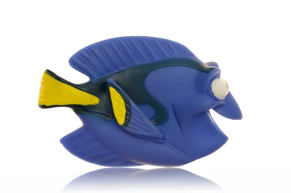 Tropical Toy Fish — Stock Photo, Image