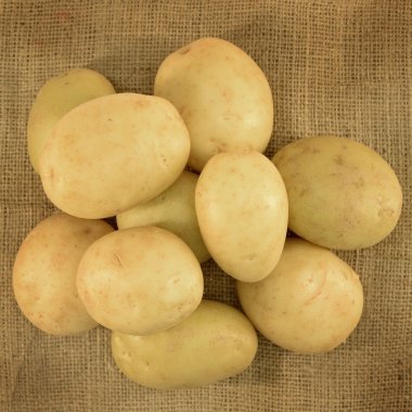 Patates.