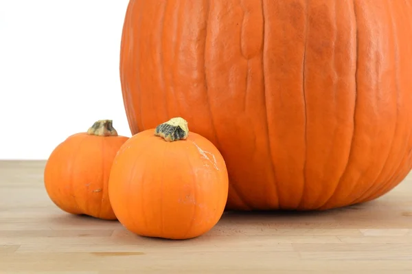 Pumpkin — Stock Photo, Image