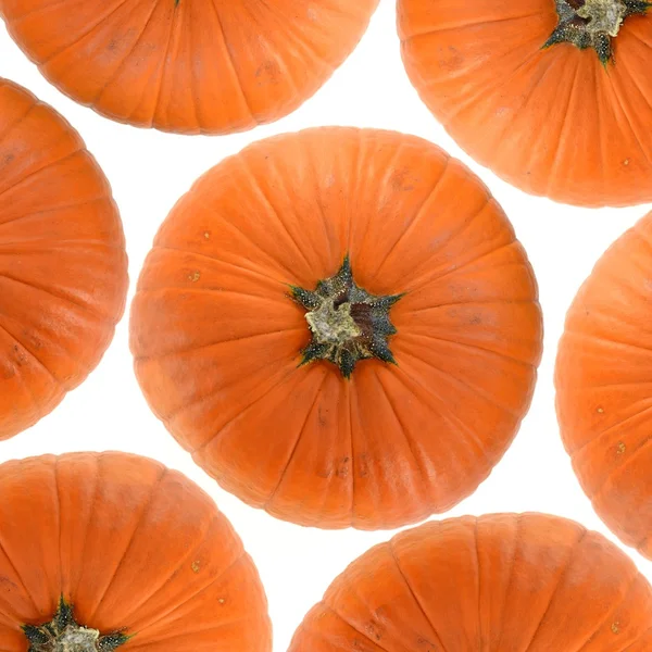 Pumpkin — Stock Photo, Image