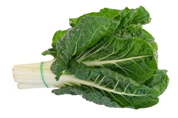 Spinach — Stock Photo, Image