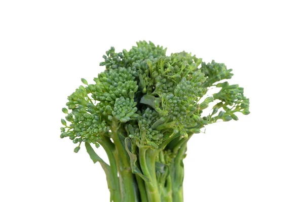 Broccolo — Foto Stock